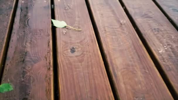 Slow Motion Skott Regn Min Veranda — Stockvideo