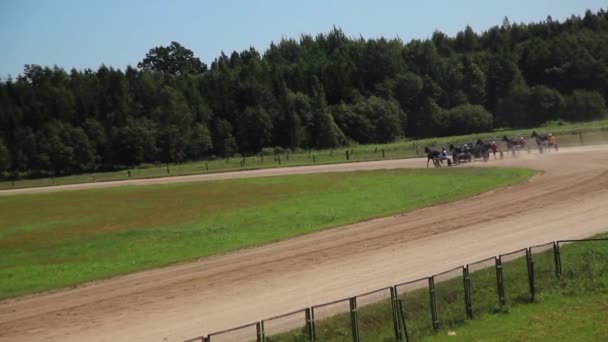 Harness Racing Derby Sunny Day — Stock Video