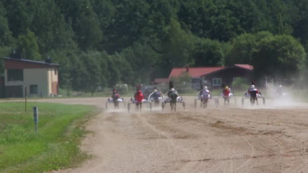 Harness Racing Derby Preparação — Vídeo de Stock