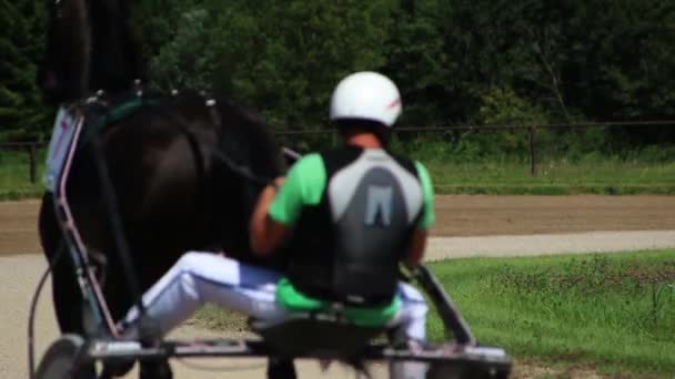 Harness Racing Derby Durante Dia Ensolarado — Vídeo de Stock