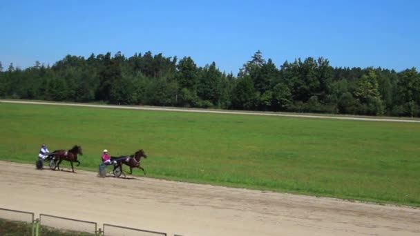 Harness Racing Derby Sunny Day — Stock Video