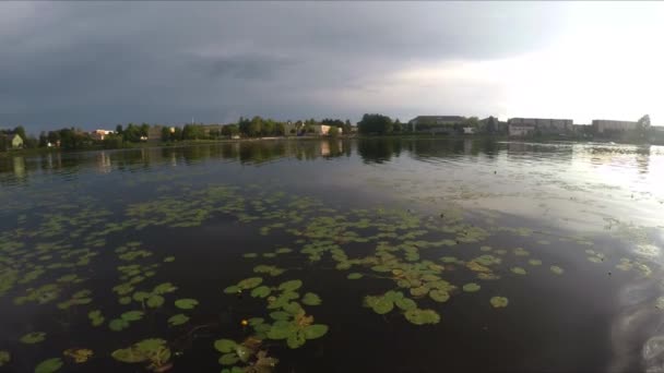 Feuilles Nénuphar Dans Rivière Sirvinta Mouvement Lent — Video