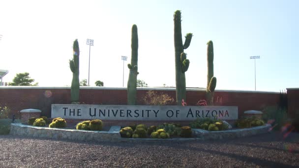 Stone University Arizona Tekent Rand Van Muur Met Sanguaro Cactussen — Stockvideo