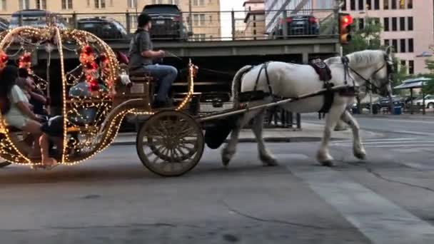 Ένα Κάρο Άλογα Στην Πόλη — Αρχείο Βίντεο