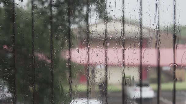 Βροχή Στο Παράθυρο Μπαρ Στο Παρασκήνιο — Αρχείο Βίντεο