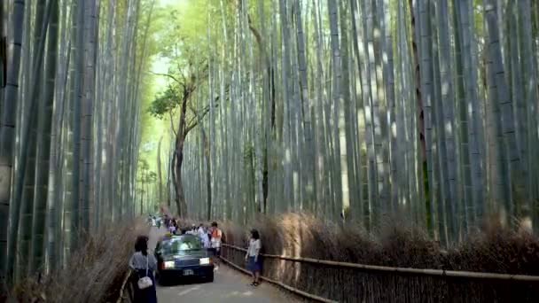 교토의 아라시 대나무 문하는 사람들의 — 비디오