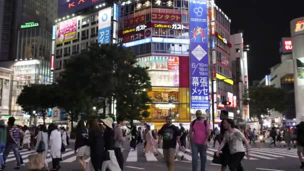 Time Lapse Video Persone Che Attraversano Shibuya Tokyo — Video Stock