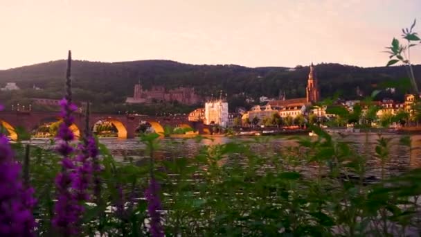 Heidelberg Tyskland Slott Och Flod — Stockvideo