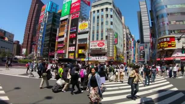 Uitzicht Van Een Straat Shinjuku Centrum Van Tokio — Stockvideo