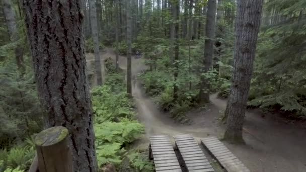 Mountain Biker Una Gran Caída Parque Bicicletas Montaña Estado Washington — Vídeo de stock