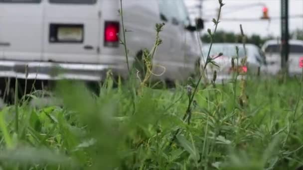 뉴저지 고속도로를 통과하는 차량들 — 비디오