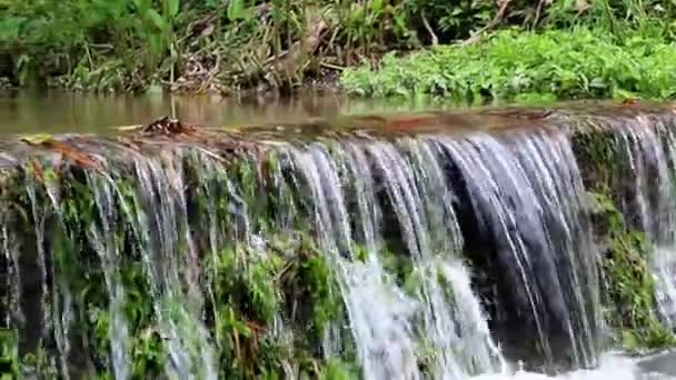 Pequeño Arroyo Agua Que Fluye Minca Santa Marta Colombia — Vídeos de Stock