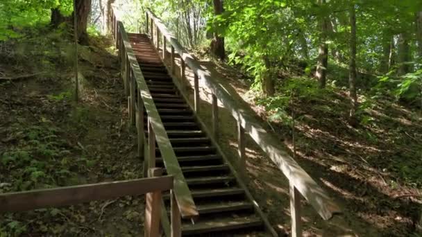 Caminando Hacia Hacia Arriba Una Escalera Construcción Bosque Cámara Lenta — Vídeos de Stock