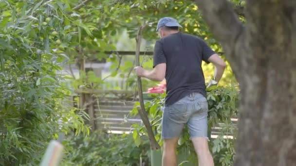 Mann Trägt Äste Und Baumstamm Garten Zeitlupe — Stockvideo