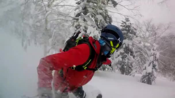 Snowboarder Zeitlupe Die Frischem Knie Bis Hüftpuder Durch Die Bäume — Stockvideo