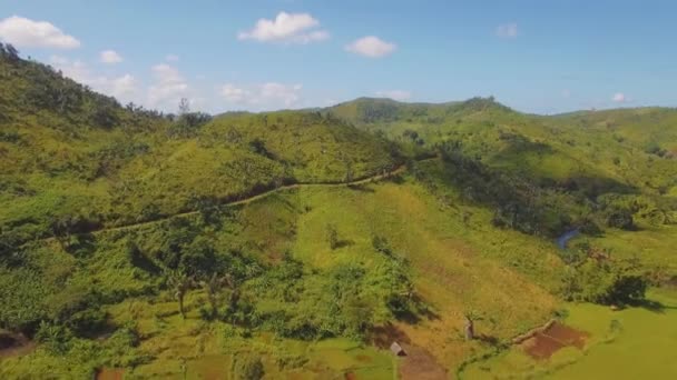 马达加斯加的空中起重机向热带雨林投下了一道小径 — 图库视频影像