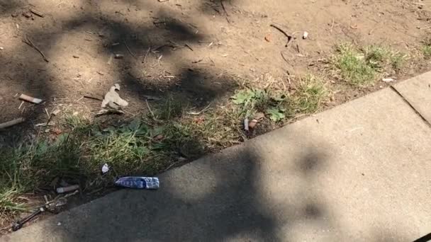 Suelo Parque Polvoriento Con Colillas Cigarrillos Basura Sobre Lugar Cámara — Vídeos de Stock