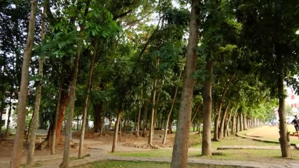 Filmagens Câmera Lenta Feitas Parque Local Campus — Vídeo de Stock
