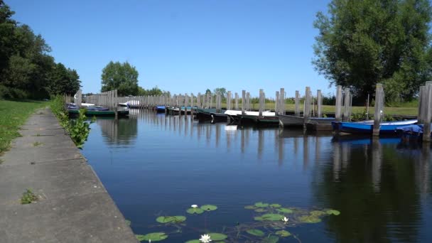 Petite Baie Jour Ensoleillé — Video