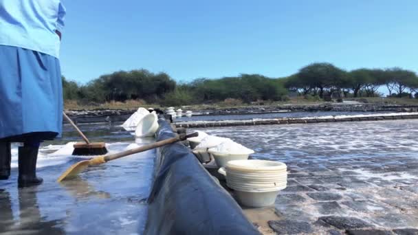 Trabalhador Panela Sal Coletando Sal — Vídeo de Stock