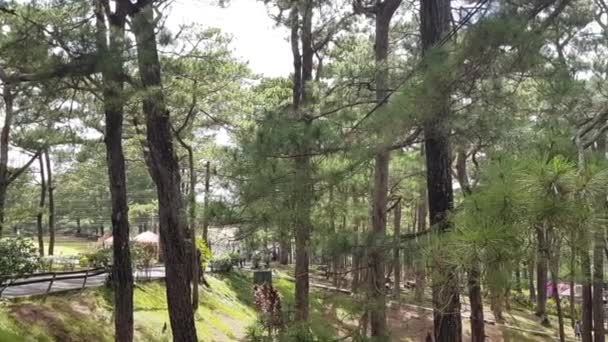 Park Full Träd Baguio Filippinerna Långsam Panorering — Stockvideo