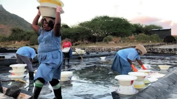 Tuz Tepsisi Içinde Kadın Işçi — Stok video