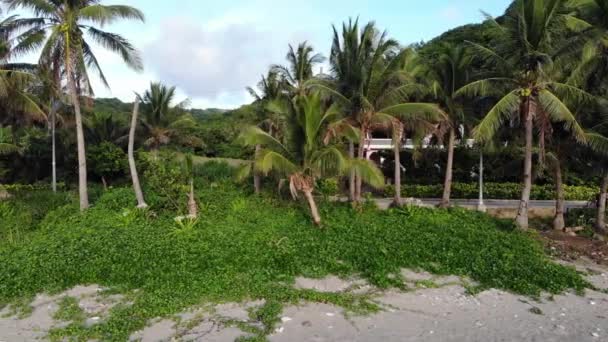 Una Strada Dietro Palme Una Spiaggia Batanes Filippine Seguire Colpo — Video Stock