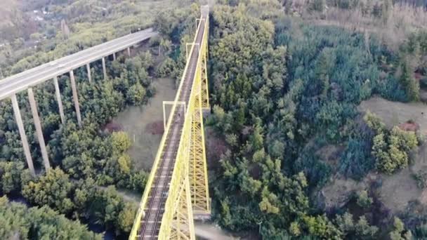 Vista Aérea Desde Arriba Del Viaducto Malleco Región Araucanía Chile — Vídeos de Stock