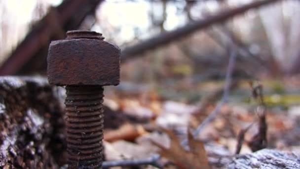 Eine Große Rostige Antike Stahlschraube Und Mutter Die Herbstlichen Wald — Stockvideo