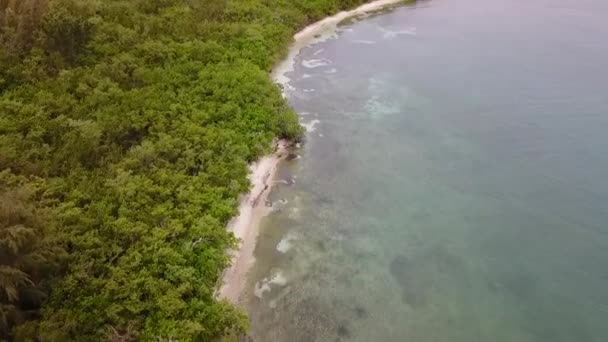 Spiaggia Roosevelt Road Porto Rico Con Barca — Video Stock