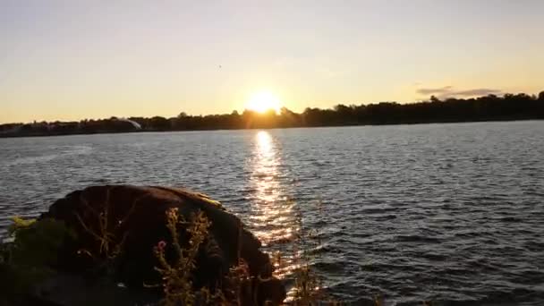 Vista Nascer Sol Pela Água — Vídeo de Stock