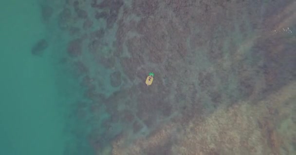 4K无人驾驶飞机拍摄的菠萝漂浮向上的模型 以揭示蓝绿色的海洋和珊瑚礁 — 图库视频影像