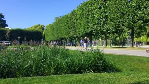 Pessoas Andando Parque Verde Uma Tarde Ensolarada — Vídeo de Stock