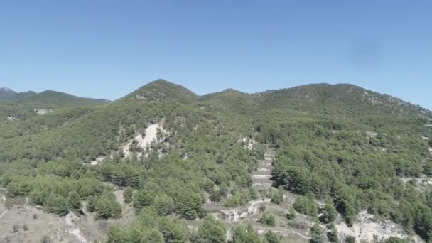 Drone Arka Planda Dağ Ormanlarını Vurdu — Stok video