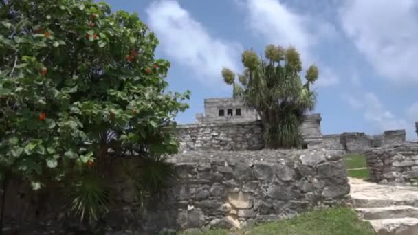 Ruinas Arqueolgicas Mayas Tulum Maya Civilisation Tulum Beach Caribbean — Stockvideo