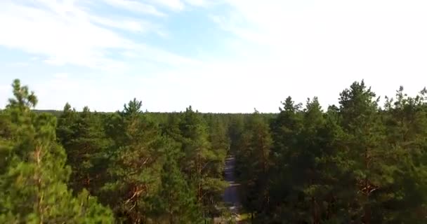 Lift Sky Aerial Natural View Trees — Stock Video