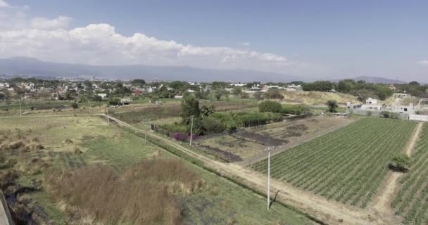 Záběry Dronů Venkovského Prostoru — Stock video