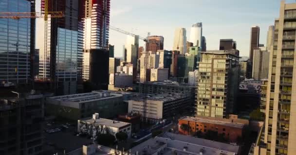 Nagranie Drona Lotniczego Centrum Los Angeles Zdjęcia Filmowe Certyfikowany Pilot — Wideo stockowe
