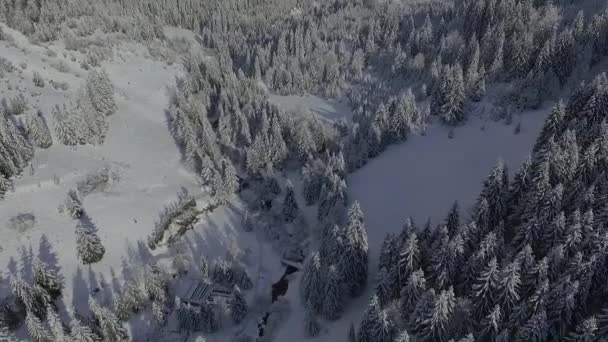 Vue Aérienne Des Montagnes Enneigées — Video