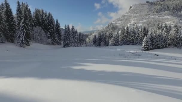 Havadan Çekim Karlı Dağlar — Stok video
