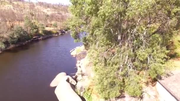 Beau Paysage Sur Rivière — Video