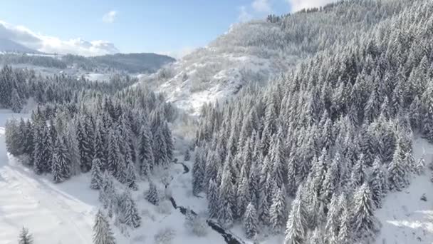 雪に覆われた山の空中ショット — ストック動画