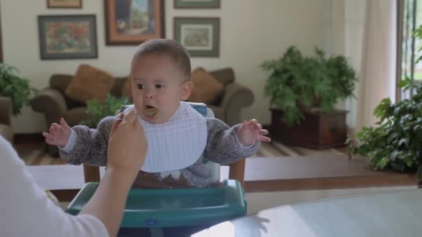 Mãe Alimentando Seu Menino Com Legumes Verdes Pap Sala Estar — Vídeo de Stock