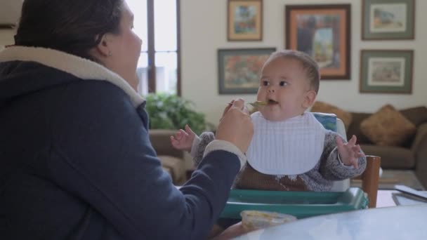 Mãe Alimentando Seu Menino Com Legumes Verdes Pap Sala Estar — Vídeo de Stock