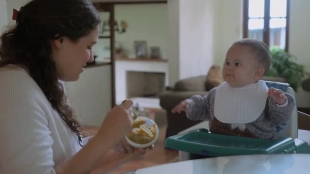 Madre Alimentando Bebé Con Verduras Verdes Pap Sala Estar Casa — Vídeo de stock