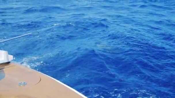 Nelayan Menunggu Untuk Mengambil Ikan Tuna Sirip Kuning Dari Air — Stok Video
