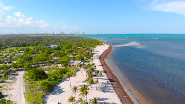 Ein Wunderschöner Rückwärts Gerichteter Drohnenblick Auf Den Strand Von Miami — Stockvideo