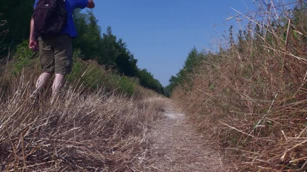 Homme Marchant Sur Chemin Terre Dirigeant Vers Les Bois Tout — Video