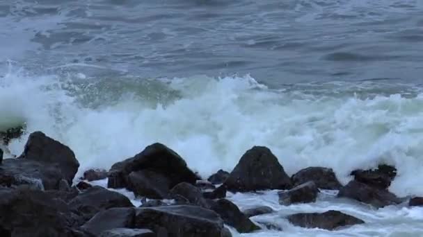 Ondas Quebrando Rochas — Vídeo de Stock