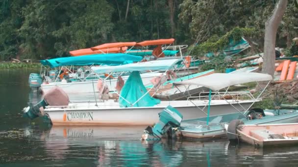 Barcos Atracados Lago Gamboa Panamá — Vídeo de Stock